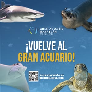 Oceano - Mayo